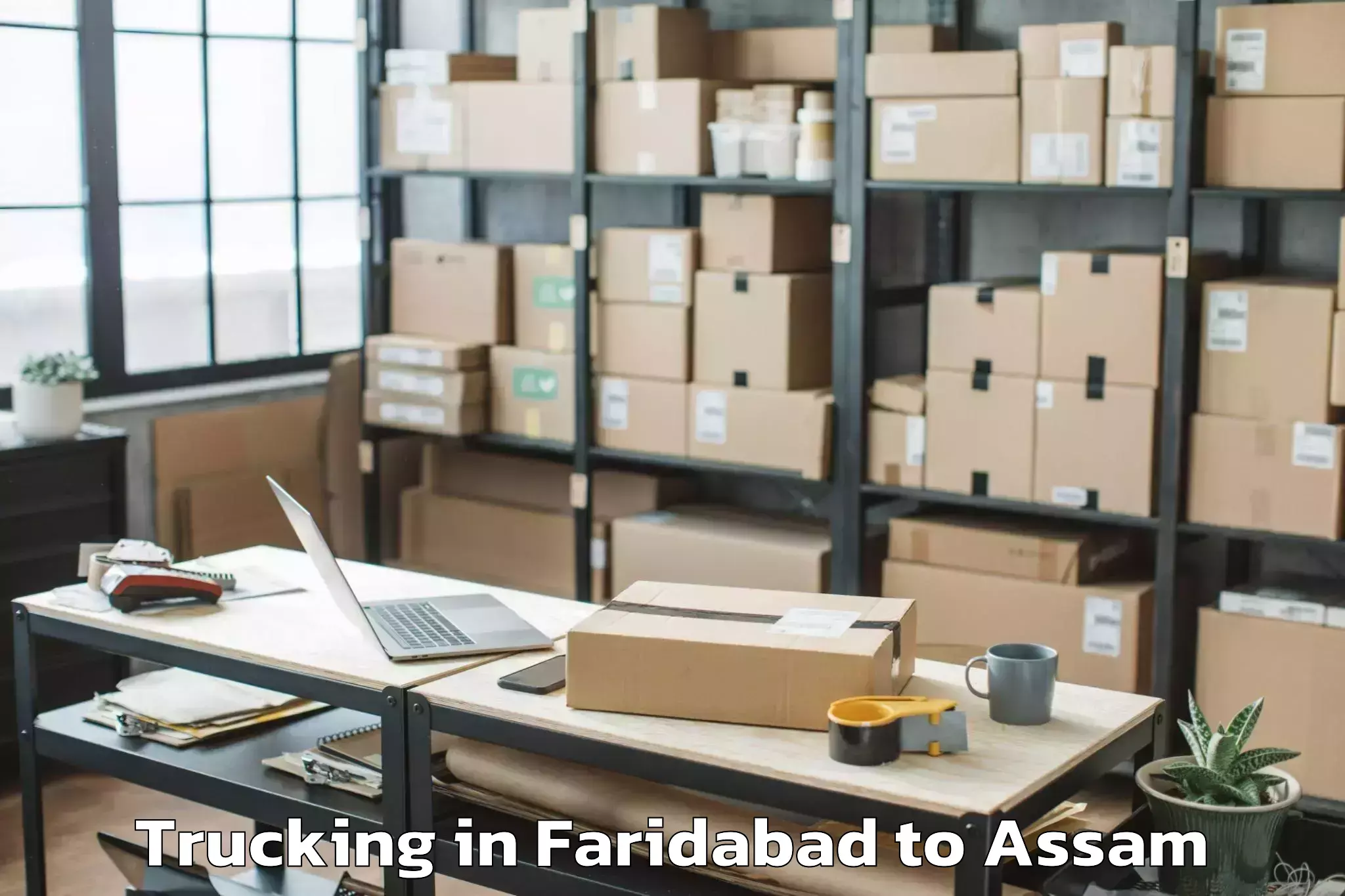 Comprehensive Faridabad to Tamulpur Trucking